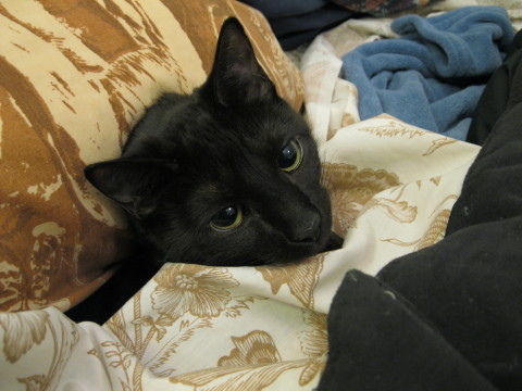 bedtime