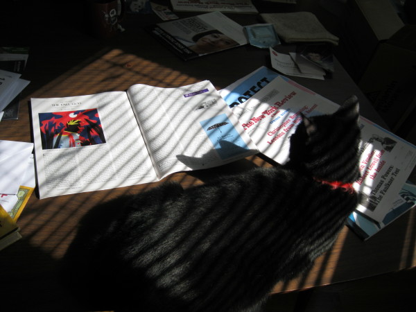 reading