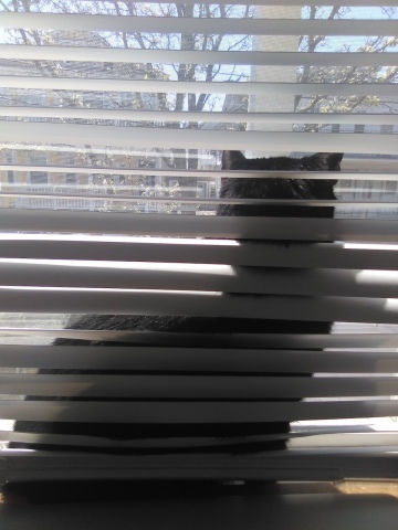 Bird Theater with Abstract Hestia