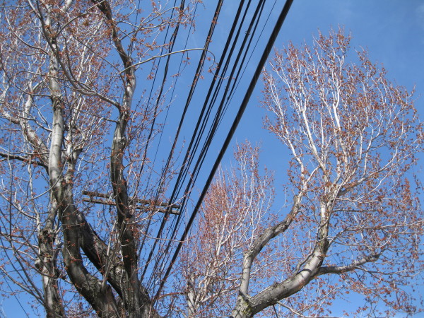 Evidence of spring!