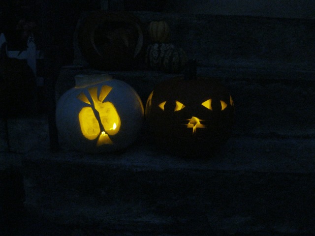 One calavera and one cat
