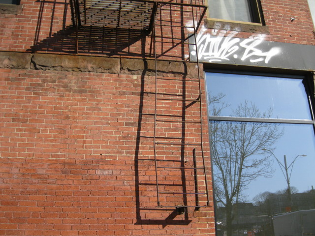 Shadow ladder and reflection tree