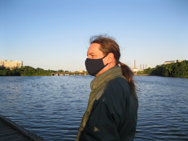 The photographer of the swans