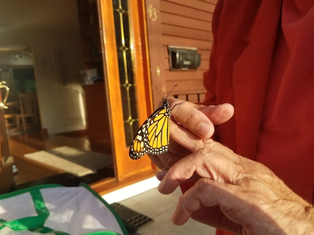 Mother of monarchs