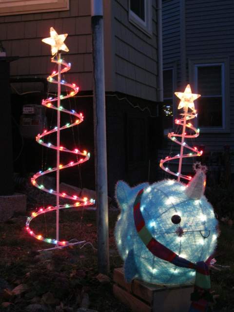 Unicorn of the sea