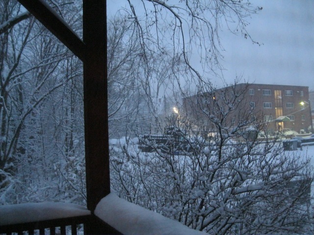 The undersea lights of the snow