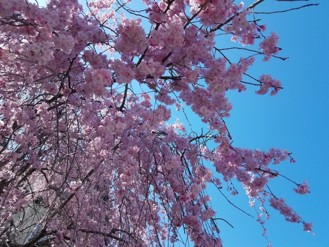 Pink and blue
